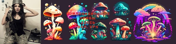 ПСИЛОЦИБИНОВЫЕ ГРИБЫ Аркадак