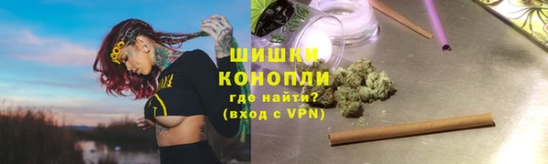 трава Арсеньев