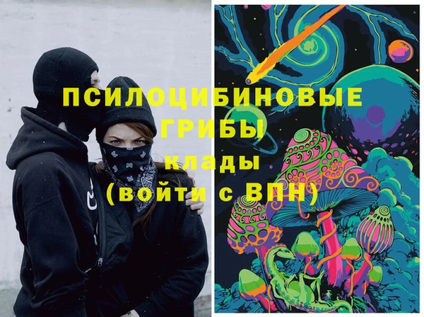 трава Арсеньев